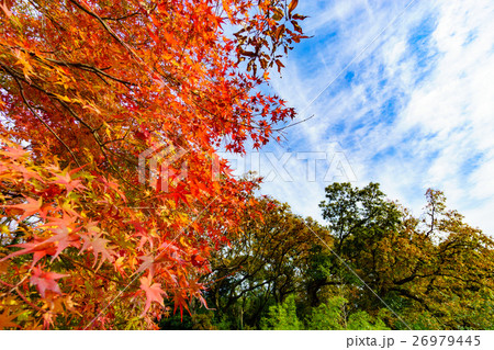 屋島をふらりと歩いて 屋島をふらりと歩いて 26979445