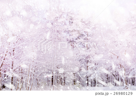 Winter snow magic forest background. Winter snow magic forest background. 26980129