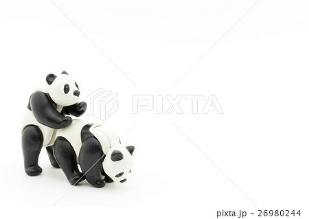 パンダの交尾 Panda Having Sexの写真素材