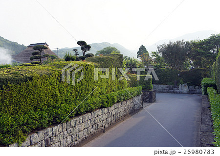 知覧　武家屋敷町　庭園都市 26980783