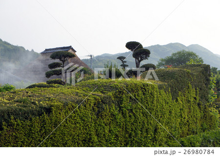 知覧 武家屋敷町 庭園都市 知覧 武家屋敷町 庭園都市 26980784
