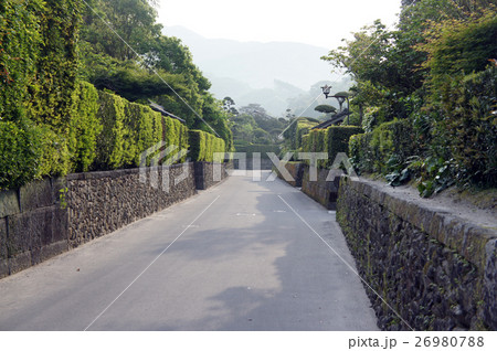 知覧　武家屋敷町　庭園都市 26980788