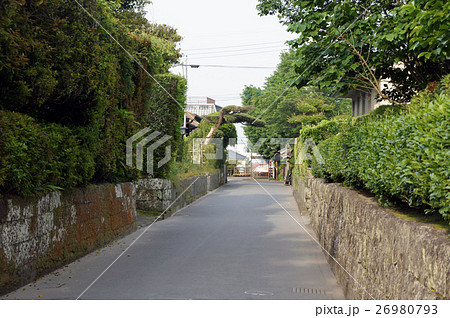 知覧　武家屋敷町　庭園都市 26980793