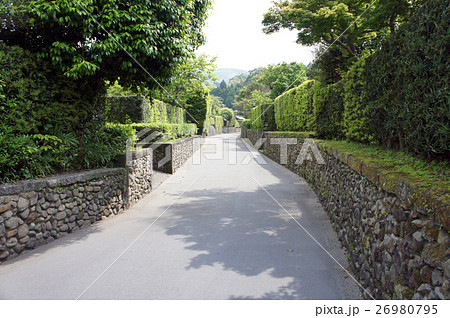 知覧　武家屋敷町　庭園都市 26980795