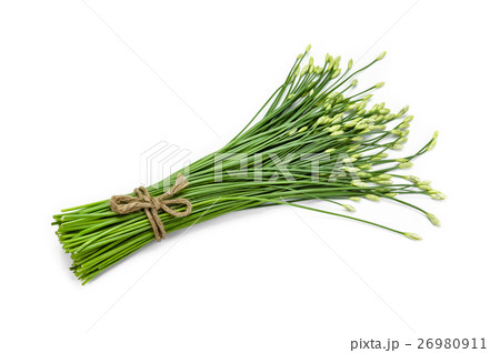 garlic chive in threshing basket on white. garlic chive in threshing basket on white. 26980911