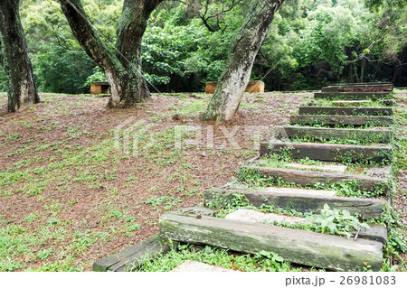 公園 パーク 園 26981083
