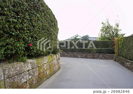 知覧 町なみ 大刈込 知覧 町なみ 大刈込 26982646