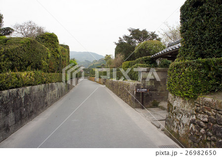 知覧　町なみ　大刈込 26982650