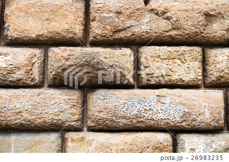 rows of brown blocks in wall of Palazzo Pitti 26983235