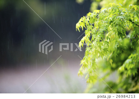 川湯温泉の雨だれ#4 26984213