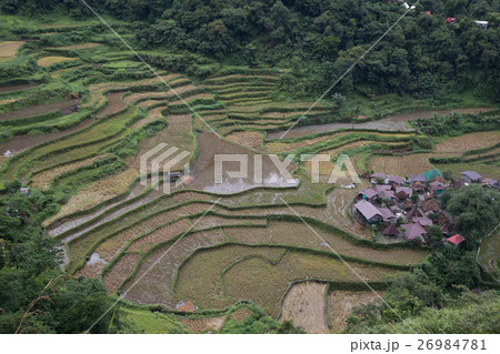 Bangaan Rice Terraces（バナウエの棚田） - 天国への階段、フィリピン 26984781