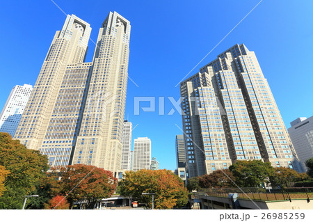 晴天下の東京都庁(第一本庁舎と第二本庁舎) 晴天下の東京都庁(第一本庁舎と第二本庁舎) 26985259