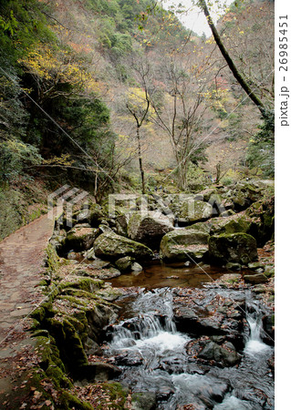 赤目四十八滝　紅葉　三重県 26985451