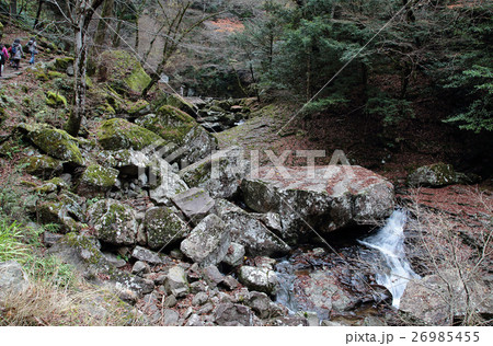 赤目四十八滝 紅葉 三重県 赤目四十八滝 紅葉 三重県 26985455