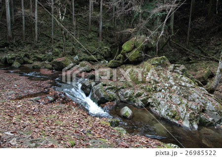 赤目四十八滝　紅葉　三重県 26985522