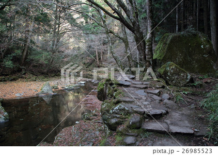 赤目四十八滝 紅葉 三重県 赤目四十八滝 紅葉 三重県 26985523
