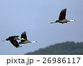 出水のツル33 26986117