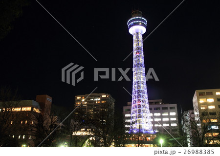 横浜マリンタワー(夜景) 26988385
