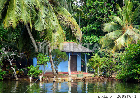 熱帯地方の住居 スリランカの写真素材