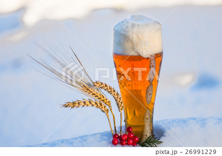light beer in the snow with ears of wheat light beer in the snow with ears of wheat 26991229