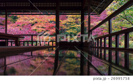 秋の瑠璃光院 秋の瑠璃光院 26995758