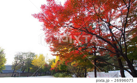 韓国 朝鮮 コリア 26996075