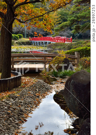 岩槻城址公園・八ッ橋と菖蒲池 26997253