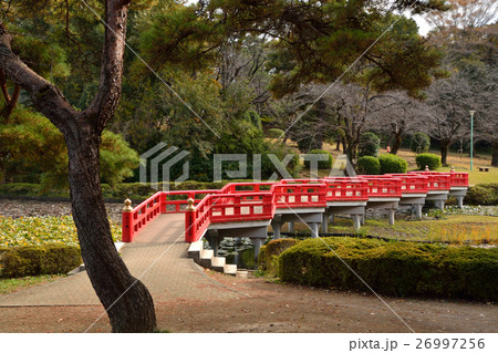 岩槻城址公園・八ッ橋と菖蒲池 26997256