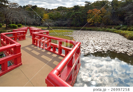 岩槻城址公園・八ッ橋と菖蒲池 26997258