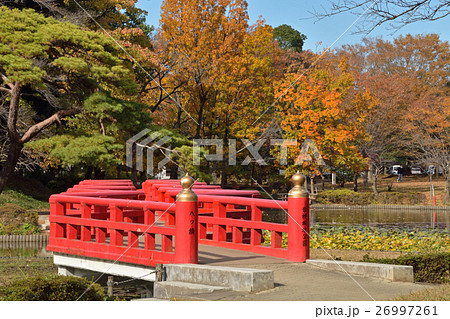 岩槻城址公園・八ッ橋と菖蒲池 26997261