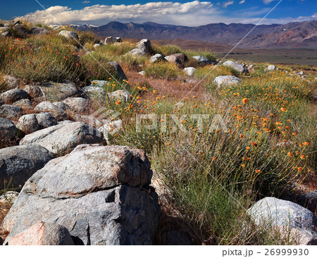 Arid Wilderness of the Eastern Sierras Arid Wilderness of the Eastern Sierras 26999930