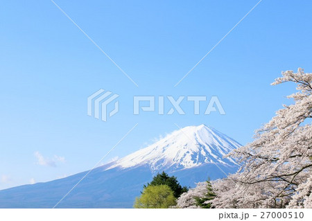 春の青空と桜と富士山 27000510