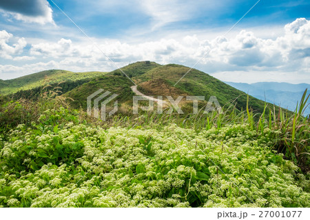 Mountain hill curve way 27001077