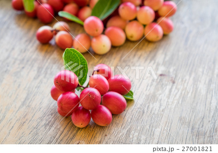 Carunda,Karonda,Carissa carandas,Apocynaceae 27001821