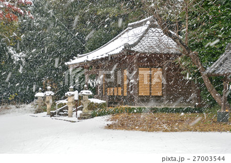 見沼田圃・上野田の氷川社 降雪 見沼田圃・上野田の氷川社 降雪 27003544