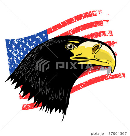 Eagle Head with Grunge American Flag Eagle Head with Grunge American Flag 27004367