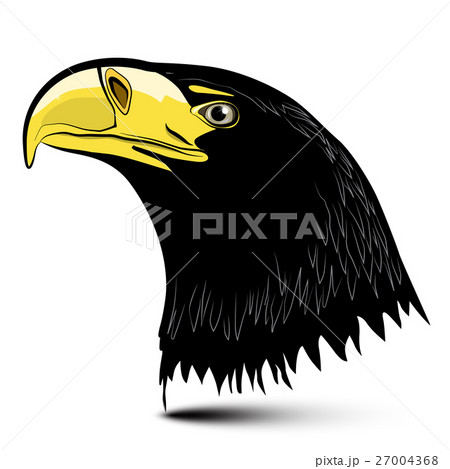 Eagle Head Isolated on White Background. 27004368