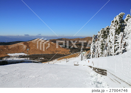 九重森林公園スキー場　パノラマコースと樹氷 27004746