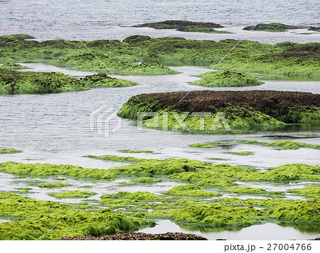 海沿い 海浜 干潮 27004766