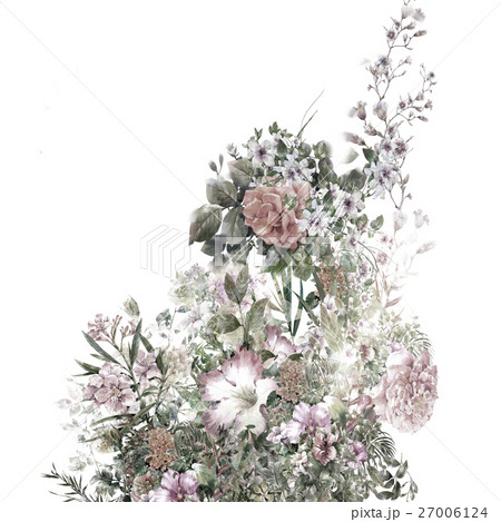 watercolor painting of leaves and flower, on white watercolor painting of leaves and flower, on white 27006124