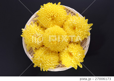食用菊 食用菊 27006173
