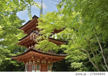浄瑠璃寺　国宝　三重塔 27008800