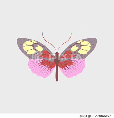 Colorful icon of butterfly isolated on white 27008857