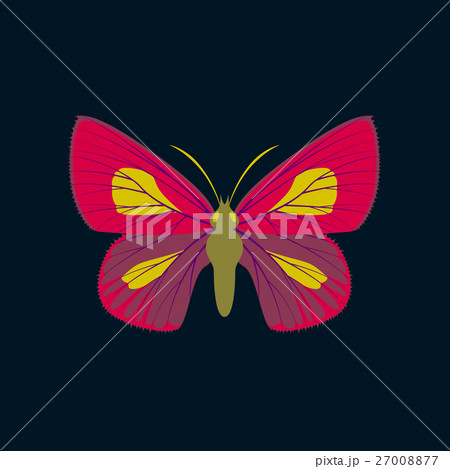 Colorful icon of butterfly isolated on dark blue Colorful icon of butterfly isolated on dark blue 27008877