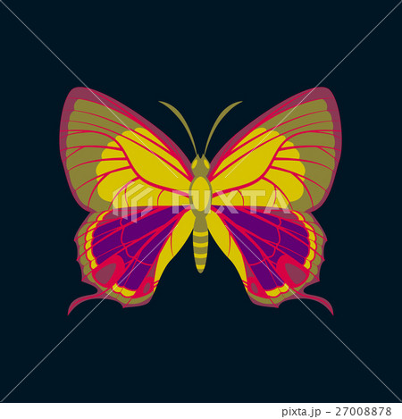 Colorful icon of butterfly isolated on dark blue 27008878