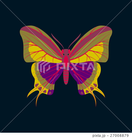 Colorful icon of butterfly isolated on dark blue Colorful icon of butterfly isolated on dark blue 27008879