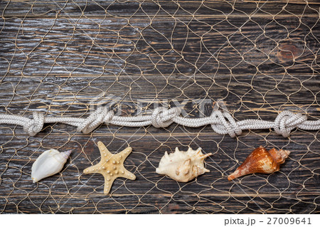 sea shells and rope on old dark boards sea shells and rope on old dark boards 27009641