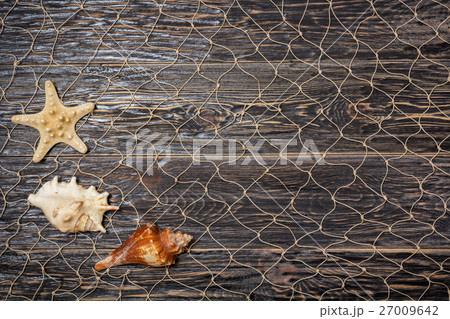sea shells on old dark boards sea shells on old dark boards 27009642