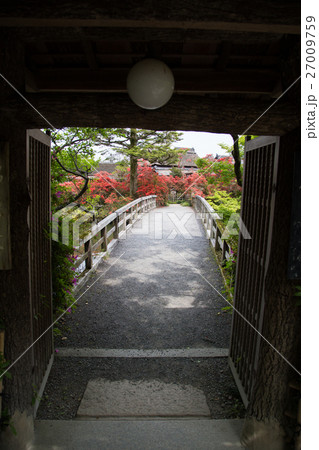 長岡天満宮、錦水亭の門に満開のキリシマツツジ 27009759