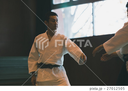 martial artist martial artist 27012505
